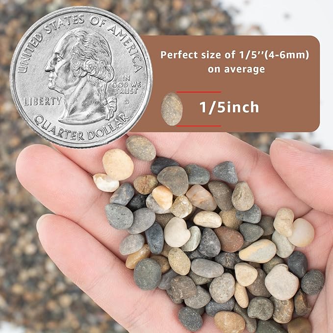 10LB Natural River Rocks, 1/4" Aquarium Gravel, Small Pebbles for Plants, Pea Gravel for Fish Tanks, Decorative Rocks for Gardening, Flower Pots, Vase Fillers, Indoor Fountains (10 LBS)