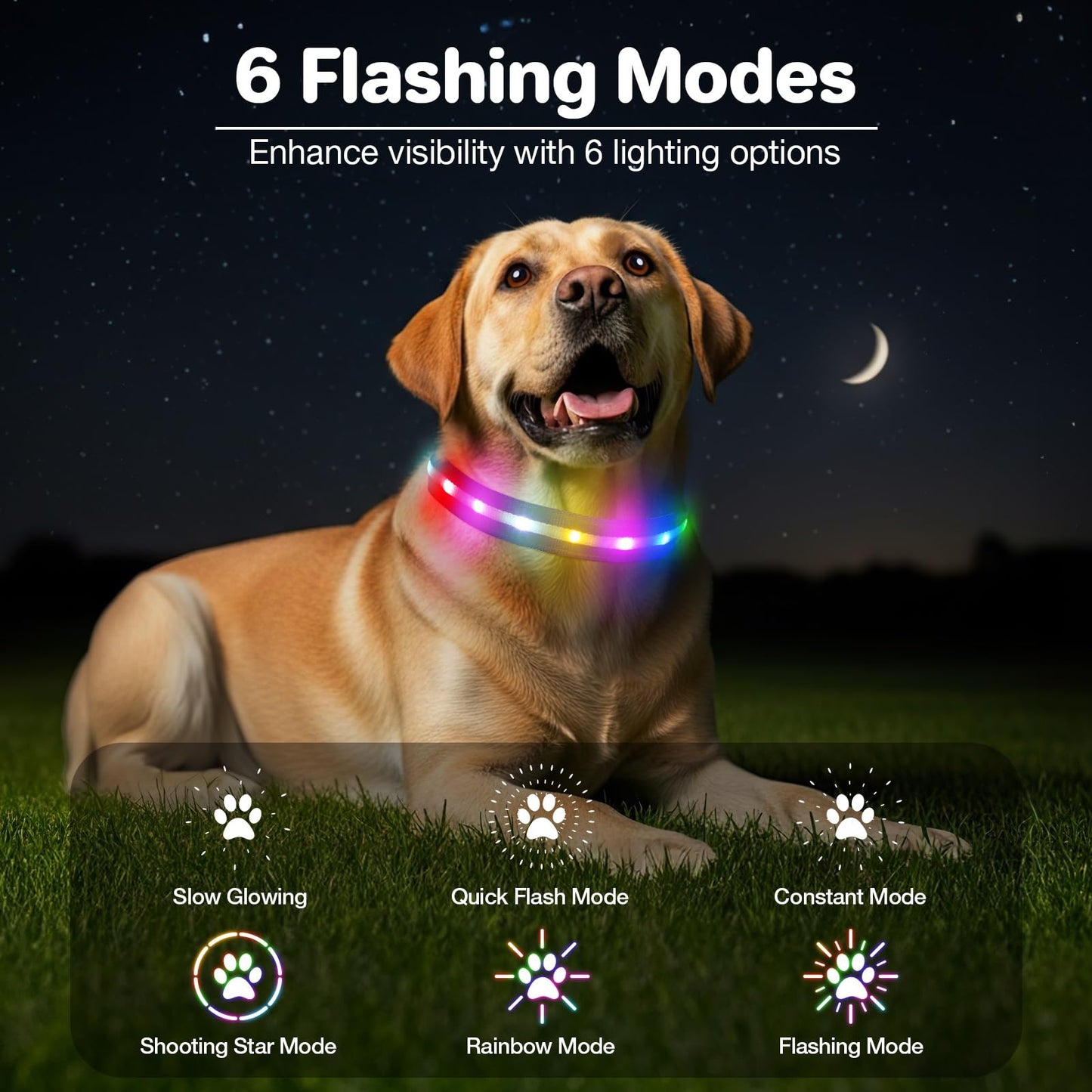 Fiveda Light Up Dog Collar, USB Rechargeable 6 Modes, Waterproof Charging Port, Long Lasting LED Collar - Adjustable Nylon Reflective for Dogs, Sizes S/M/L (7/9/11 Lights) -Purple, M