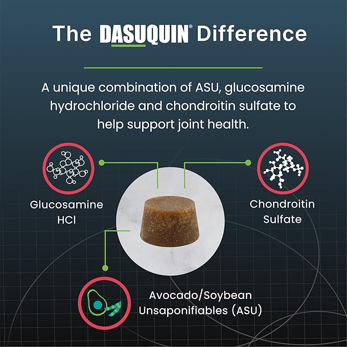 Nutramax Dasuquin Joint Health Supplement for Large Senior Dogs – for Immune Support, Skin & Coat Health, and Brain Health, 84 Soft Chews