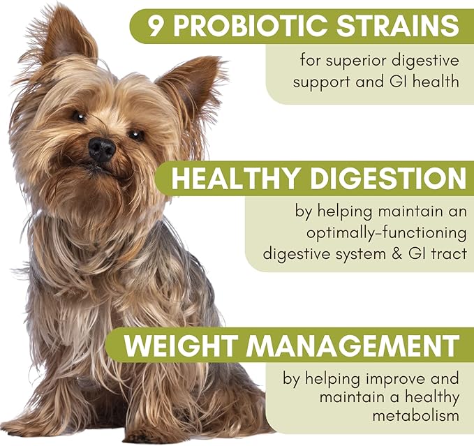 Wholistic Pet Organics WholeBiotics - Daily Dog Probiotics for Digestive Health Support & Immune Boost - 9 Strains - Prebiotics & Probiotics for Dogs & Cats - Gut Health for Dogs - 3 Oz - 85 Scoops