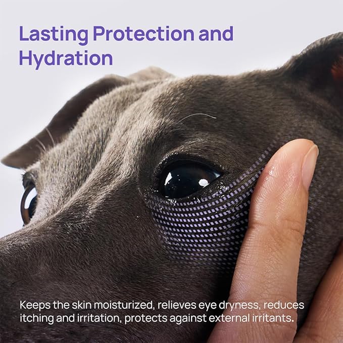 HICC PET Dog Eye Gel, Vet-Recommended Dog Eye Infection Treatment, Tear Stain Remover, Soothes Irritation, Moisturizes Dry Eyes, Pet Eye Drops Ointment Alternative for Dogs, Cats, Horses. 2 fl oz