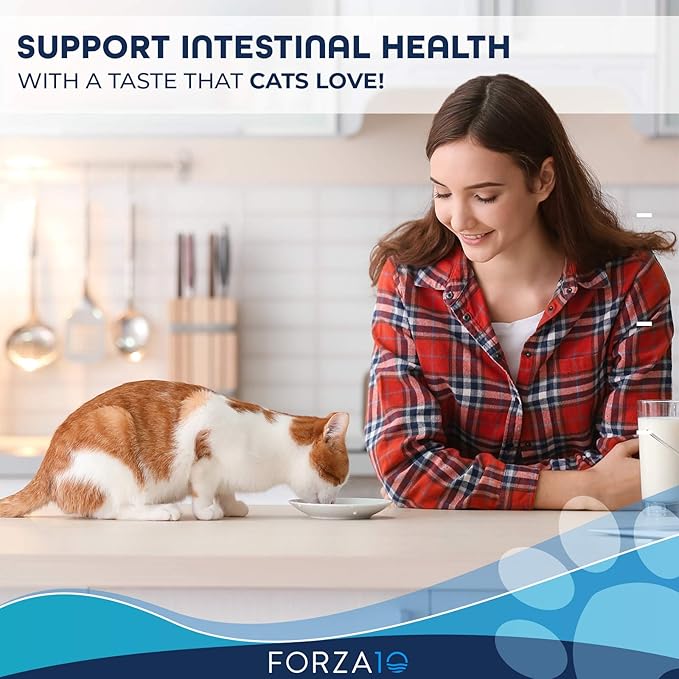 Forza10 Wet Cat Food Intestinal, Fish Salmon Cat Food Flavor, Sensitive Stomach Wet Cat Food for Adult Cats with Gastrointestinal and Digestive Problems (32 Pack)