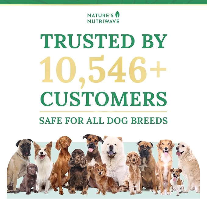 Pawbiotix Liquid probiotics for Dogs - Dog probiotics for Digestive Health | 100% Natural Dog Gut Health probiotics | probiotics for Dogs | Original Formula, Beacon Flavor, 1oz, 6 Month Supply