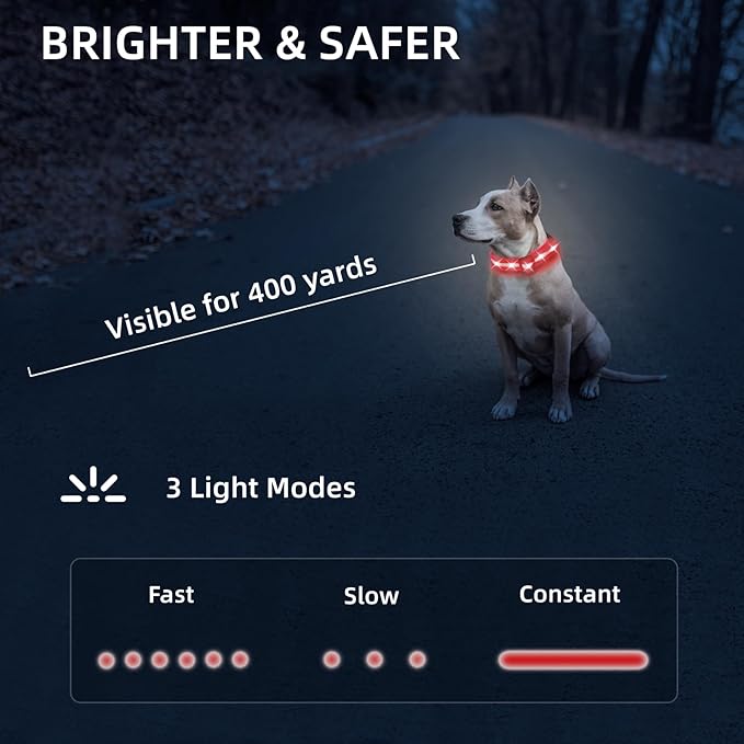 Super Bright LED Dog Collar - Fully Waterproof & Adjustable Glow Collar - USB-C Rechargeable for Night Walking, Safety - Flashing Lighted Collar for Dogs(Red,S)