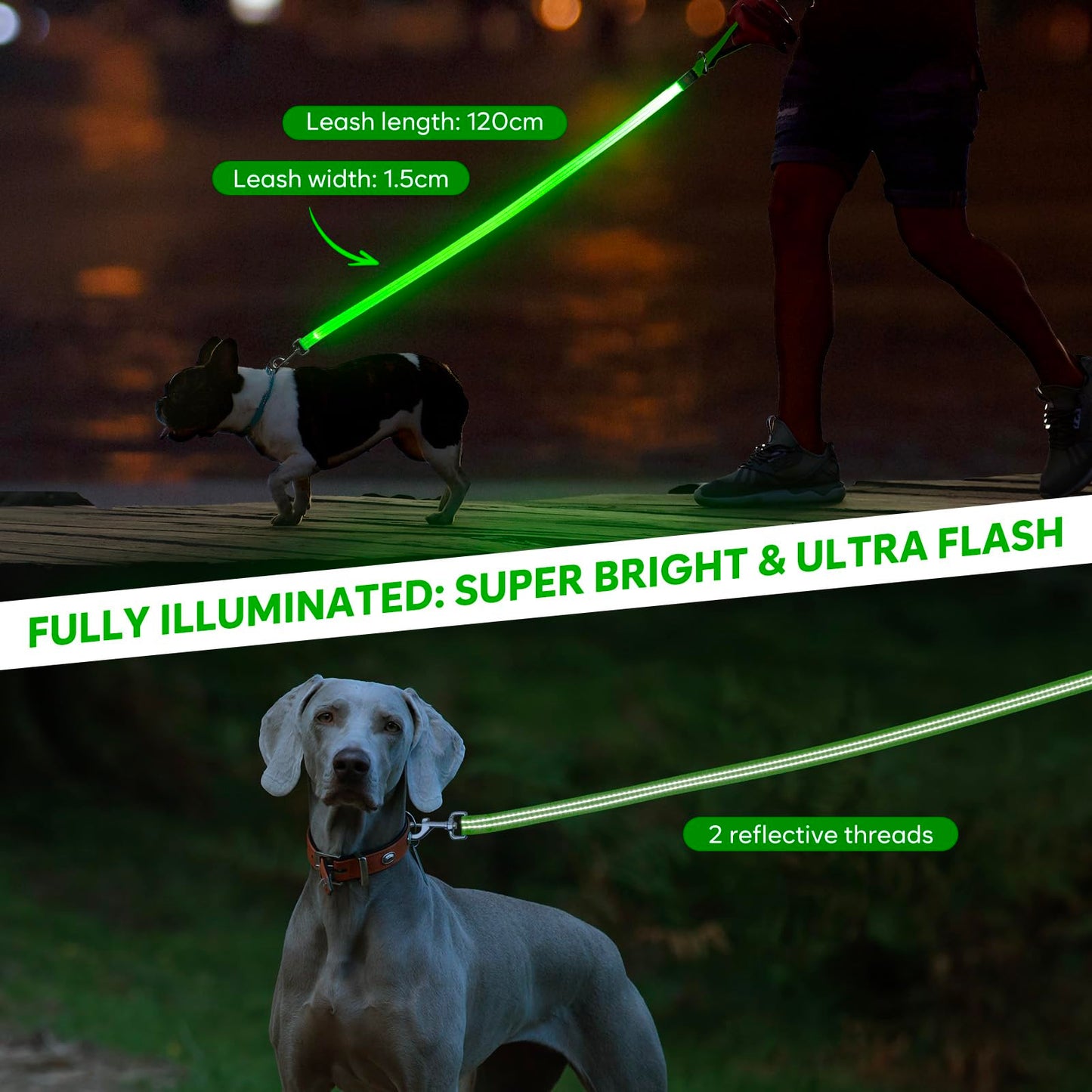 LED Dog Leash, 4 Ft Light Up Dog Leash USB Rechargeable Waterproof, Nylon Reflective Leashes with Padded Handle, Safety Glow in The Dark Pet Lights for Large Medium Small Pet(Green)
