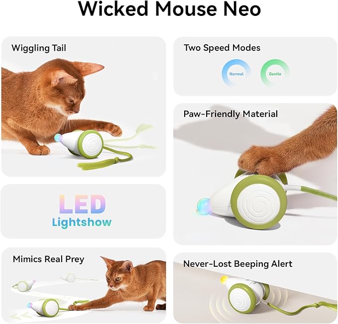 Cheerble Interactive Cat Toys for Indoor Cats, Automatic Moving Kitten Toys, Wicked Mouse Neo Cat Toy with Tail & Lights, Pet Cat Supplies, Rechargeable Cat Toys for Bored Indoor Adult Cats,Green