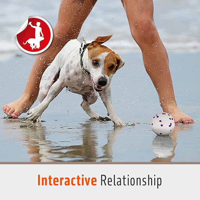 Dog Balls Chew Toys Tennis Ball for Aggressive Chewers Teething Molar Toys Water Toy Interactive Fetch Balls Gift Set for Large Medium Dog and Puppies (4 Pack-White)