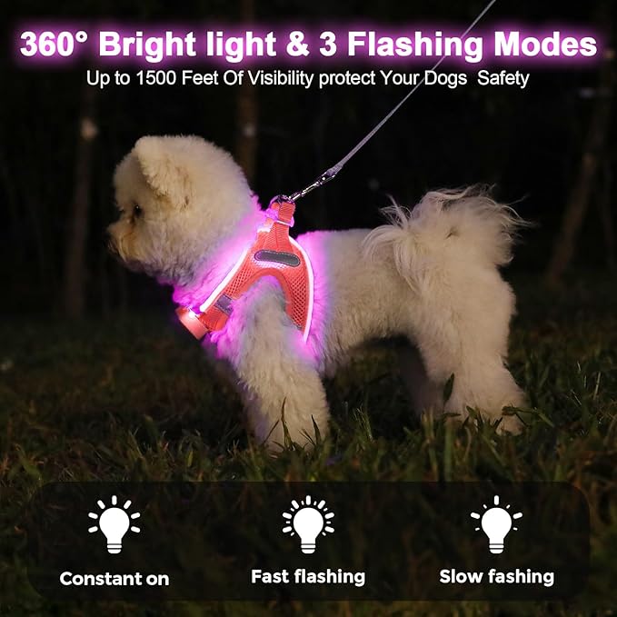 Light Up Dog Harness,Rechargeable LED Dog Harness for Small Medium Large Dogs,Reflective Lighted Safety Vest for Night Walking & Camping,Lightweight & Adjustable,Fluorescent Pink,S