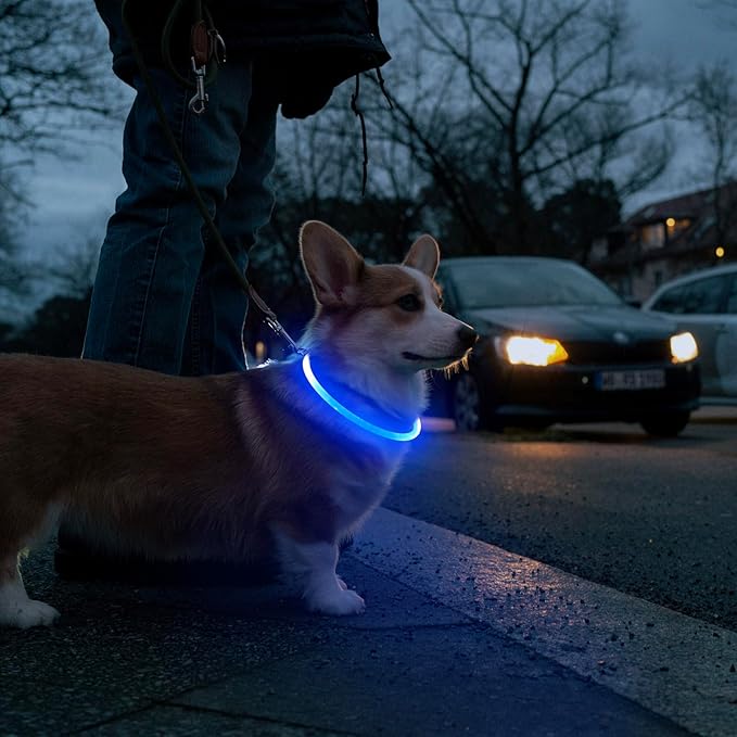 HIGO LED Dog Collar, USB Rechargeable Light Up Dog Collars Glow in The Dark, TPU Cuttable Pet Safety Dog Necklace for Nighttime Dog Walking (Blue)