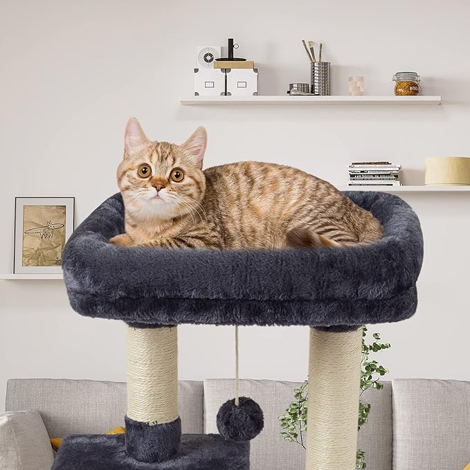 FISH&NAP Cute Cat Tree Kitten Cat Tower for Indoor Cat Condo Sisal Scratching Posts with Jump Platform Cat Furniture Activity Center Play House Smoky Grey