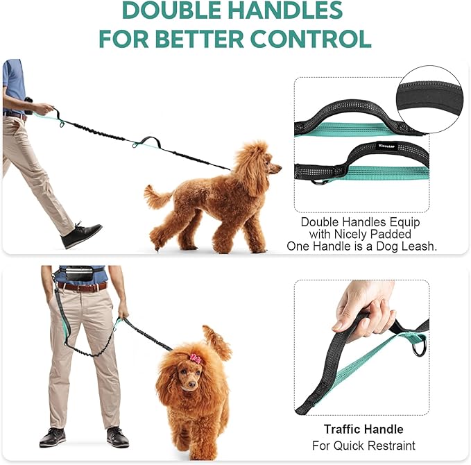 Hands Free Dog Leash with Pouch, Double Leash for Two Dogs, Retractable Bungee with Double Padded Handles, Waist for Dog Walking, Running for Dogs, Dog Walking Accessories
