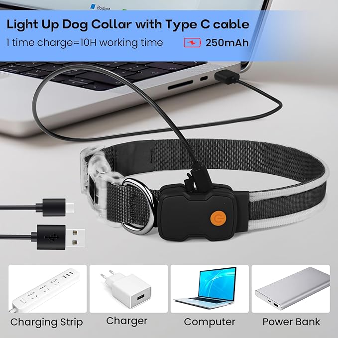 PcEoTllar Light up Dog Collars Rechargeable, LED Dog Collar Night Walking, Waterproof Flashing Glow in The Dark Dog Collars, Adjustable Dog Lights for Large Small Medium Dogs Blue-m