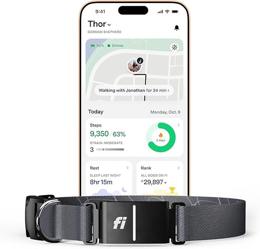 Fi Series 3+ Smart Dog Collar - GPS Dog Tracker and Activity & Fitness Monitor, Waterproof, LED Light, Escape Alerts, Nationwide Coverage [Free 6 Month Membership] (Gray, Medium)