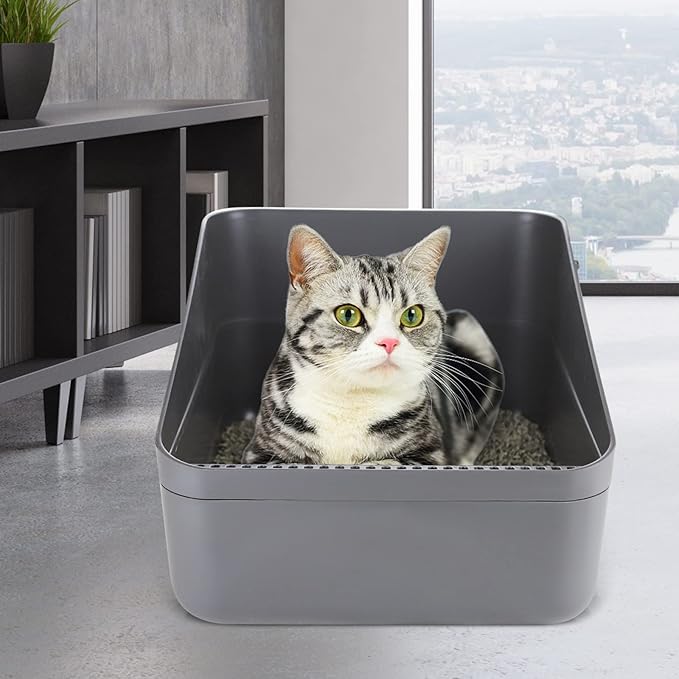 Sfozstra Cats Litter Box Low: Open Sifting Design -Tracking Space Saving - Grey Small Litter Box for Kittens up to 8 lbs