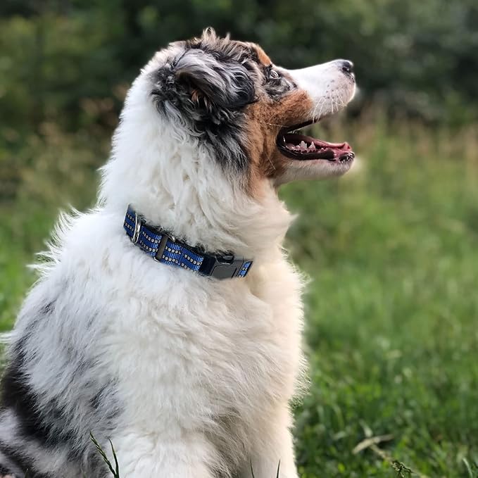 Hikiko Martingale Collar for Dogs Reflective Nylon Dog Collar with Quick Release Buckle Adjustable Training No Slip Dog Collar (Large, Blue)