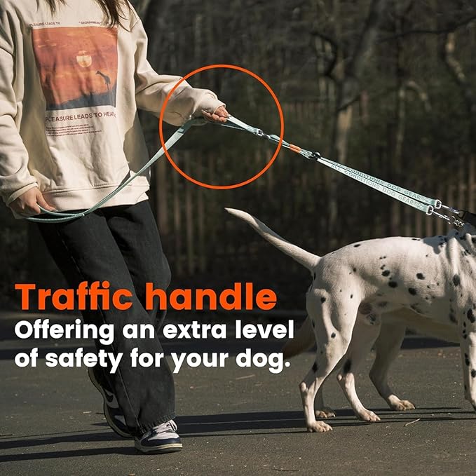 HOWGO Double Dog Leash, No Tangle 360° Swivel, Adjustable Two Padded Handles, Double Clip Dog Leash Coupler Splitter for Small and Medium Breeds (Black, 2/3'' x 4.8 FT)