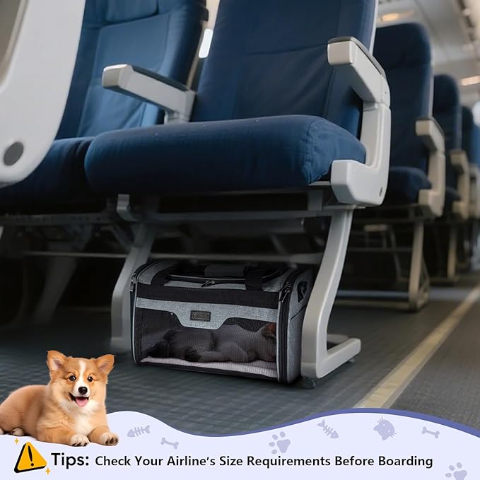 BALEINE Cat Carrier, Puppy Dog Carrier for Small Medium Pets Up to 15 Lbs, Soft-Sided Dog Travel Bag with Safety Zippers, Collapsible Pet Carrying Case (Gray, L, 17"x11"x11")