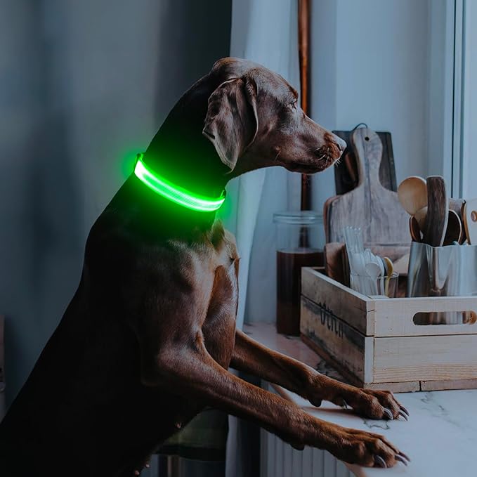 Illumifun Light Up Dog Collar, USB Rechargeable LED Dog Collar Glow in The Dark，Adjustable Pet Safety Lights for Night Walking (Green, Medium)