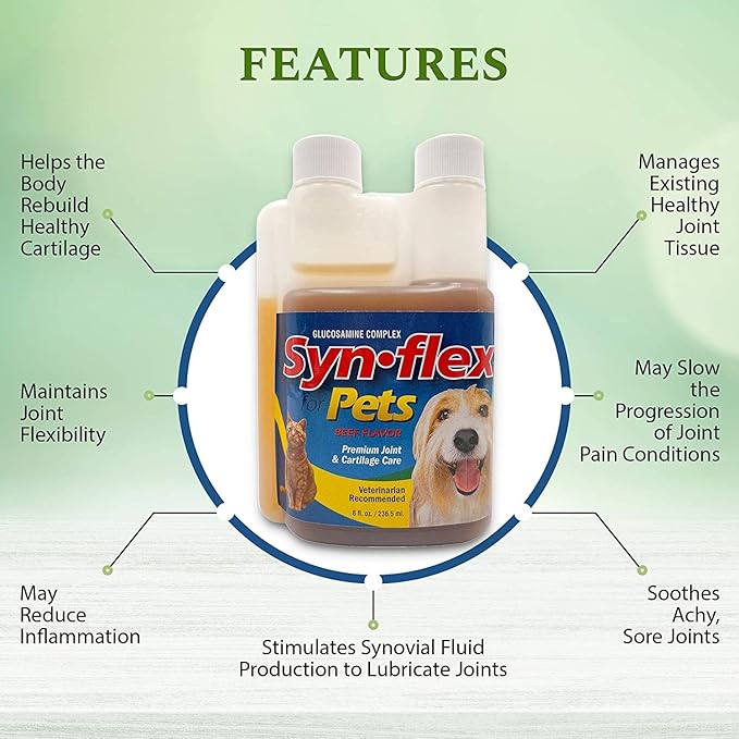 Concentrated Liquid Glucosamine for Dogs & Cats with Chondroitin: 1500mg High Potency, Boswellin, Yucca, Manganese for Mobility Support - USA Made, Beef Flavor