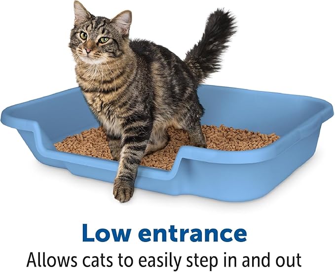 KittyGoHere Senior Cat Litter Box 2 Pack, Large Blue Low Entrance Kitty Litter Box, Sized for Cats Comfort, Perfect for Senior & Arthritic Cats, Made in USA, with Long-Handle Jumbo Scoop