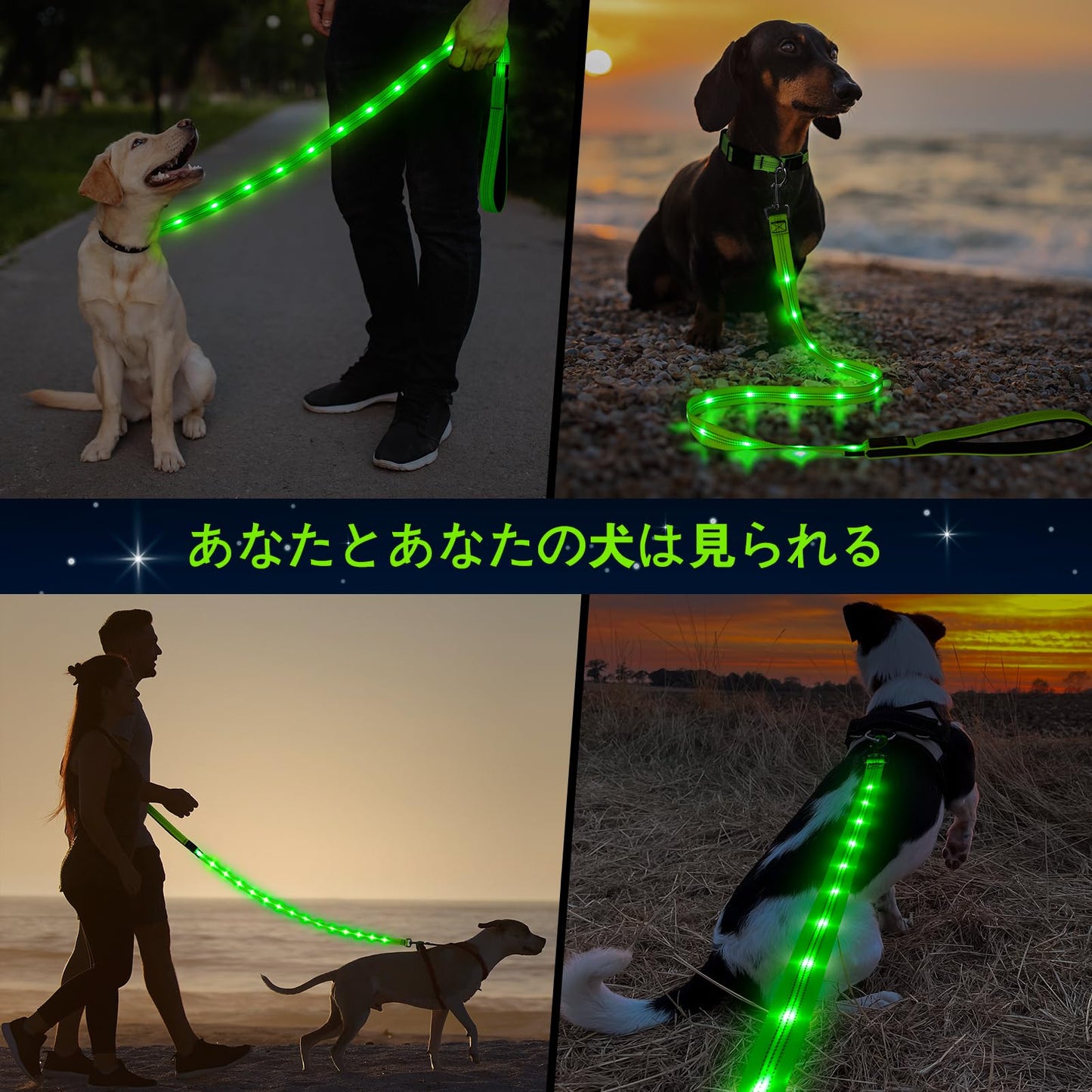 Dolitego Light Up Dog Leash, 5 Ft LED Dog Leash Rechargeable Pet Leashes Glow in The Dark Dog Lights for Night Walking (Green)