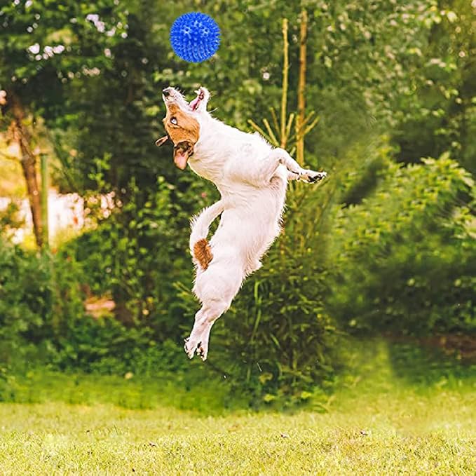 Dog Toys - Squeaky Balls for Small & Medium Dogs (3 Pack), Clean Teeth & Train