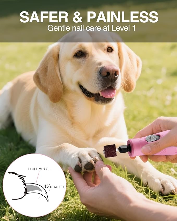 WORKPRO 6-Speed Dog Nail Grinder, Pet Nail Grinder for Small, Medium, and Large Dogs and Cats, 70 Accessories Rotary Tool with Type-C Charging Cable and Storage Bag for Sanding, Carving, and Polishing