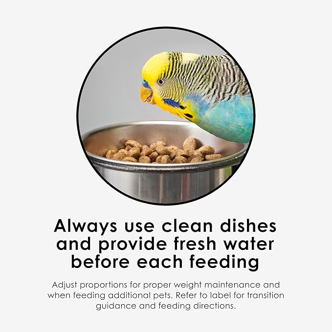 Kaytee NutriSoft Pet Parakeet & Cockatiel Bird Food, 2 lb