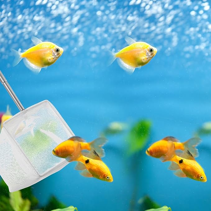 Fish Net for Fish Tank, 2 Pcs Aquarium Square Round Fishs Net Fine Mesh Fishs Nets Nano Nylon Nets with Extendable Stainless Steel Handle for Small Fishes Tank Aquarium Accessories (White)