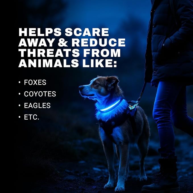 LED Dog Collar with Tracker Case - Bright Weatherproof Light Up Safety Collar, Silicone Tracker Holder, USB-C Rechargeable & Adjustable for Small, Medium & Large Dogs (Blue, Medium)