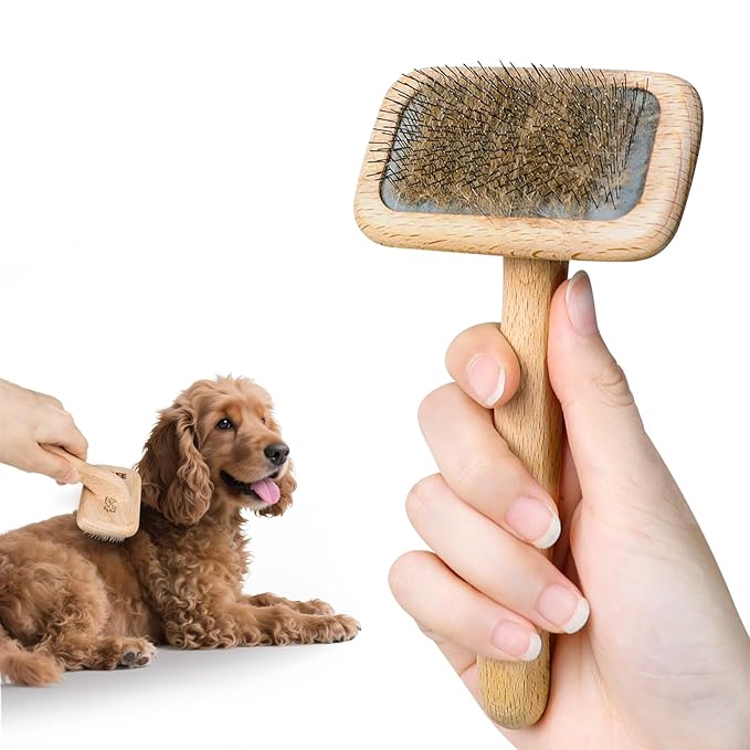 UTEE Slicker Brush for Medium Dog (Toy Poodles, Bichons & Cocker Spaniels) Gentle Grooming Tool with Stainless Steel Curved Pins & Ergonomic Beech Wood Handle — Ideal for Long or Thick Fur