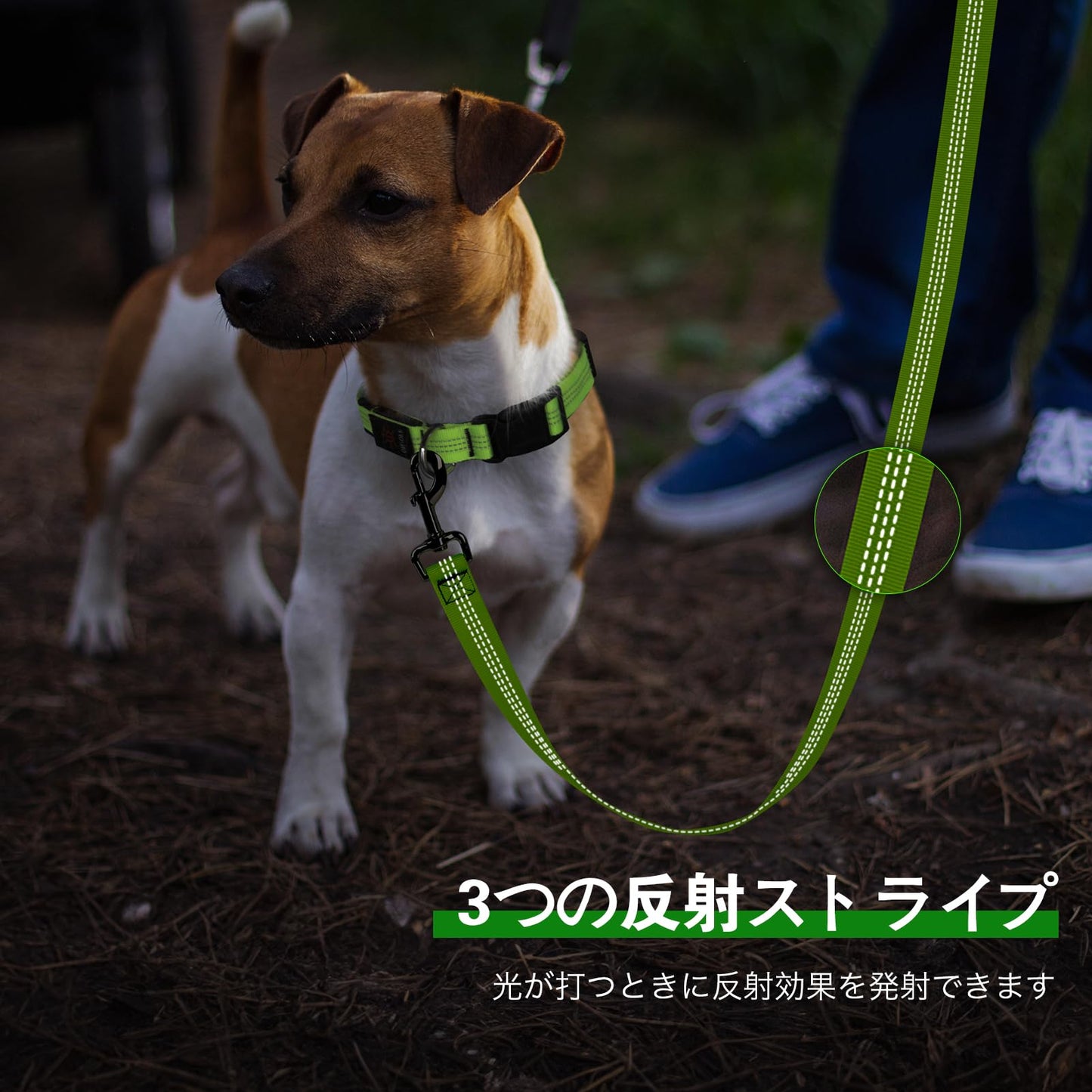 Dolitego Light Up Dog Leash, 5 Ft LED Dog Leash Rechargeable Pet Leashes Glow in The Dark Dog Lights for Night Walking (Green)