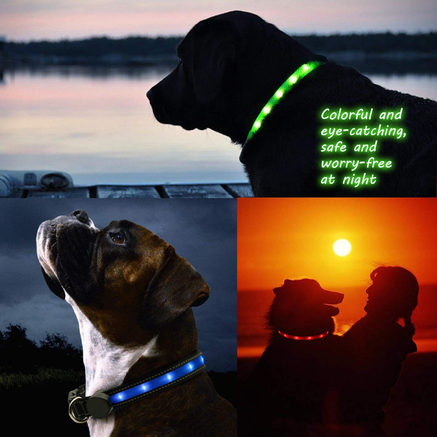 Light Up Dog Collars,Safety LED Dog Collars USB Rechargeable 7 Changing Colors Glow in The Dark Dog Walking Light,Neon Adjustable Safety Buckle Lighted Dog Collar for Small/Medium/Large Dogs, S Size