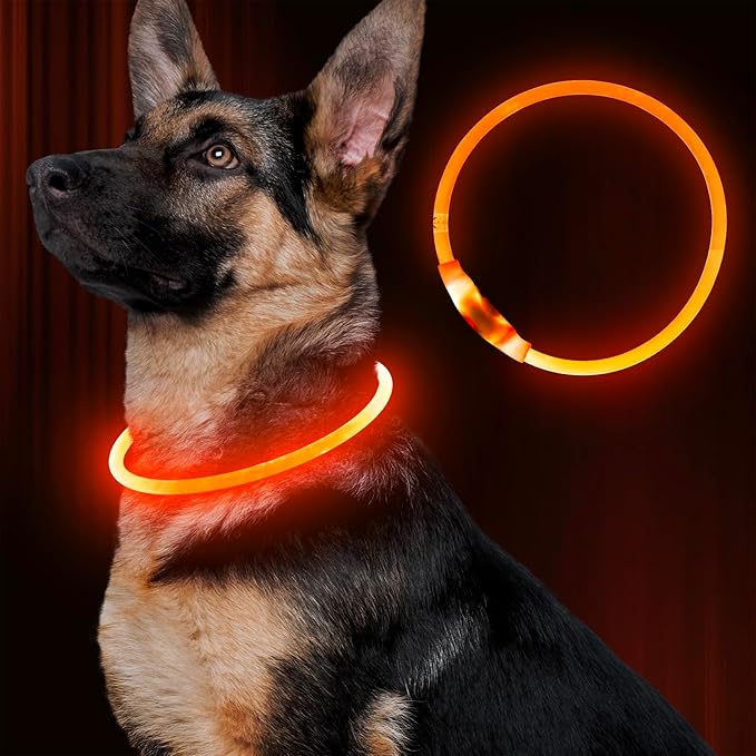 Led Dog Collar, BSEEN USB Rechargeable Flash Dog Necklace Light, Pet Safety Collar Makes Your Beloved Dogs Be Seen at Night for Small Medium Large Dogs(Orange)