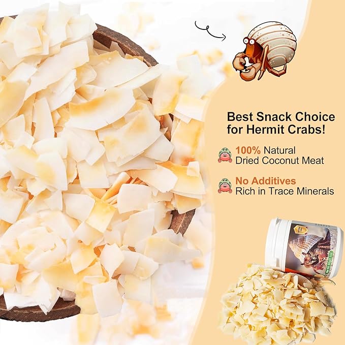 Hermit Crab Food - Baked Coconut Treat, Natural Dried Coconut for Crab Healthy & Additive Free, Easily Digestible Hermit Food Hermit - Ideal Crab Pet Snacks, Crab Accessories Crispy & Delicious | 60g