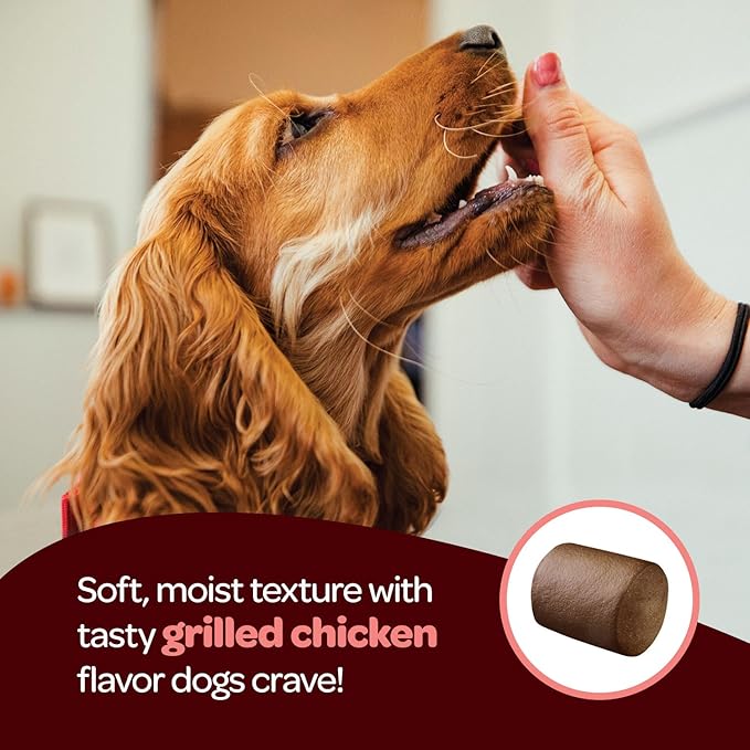 Hip and Joint Chews for Dogs | Dog Glucosamine Chews for Comfort & Mobility with Chondroitin MSM & Turmeric | Dog Joint Supplement for All Ages & Sizes | NASC Certified & Made in The USA | 60 Chews