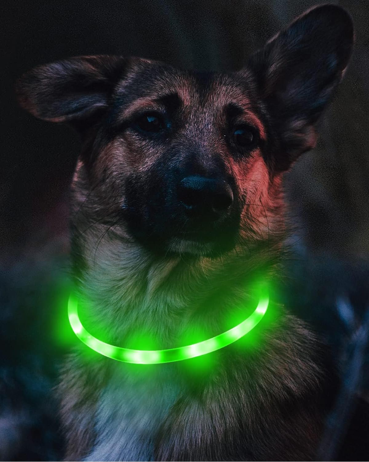 Joytale Light Up Dog Collar, Rechargeable Rainproof LED Collar for Night Walking Safety, Soft Silicone Glow in The Dark, Suitable for Small Medium Large Dogs, Green