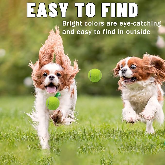 Magicorange Small Tennis Balls, 20 Pack 2 inch Tennis Balls for Dogs, Colorful Easy Catching Pet Dog Playing Ball with Mesh Bag for Easy Transport (Yellow, 2 inch)
