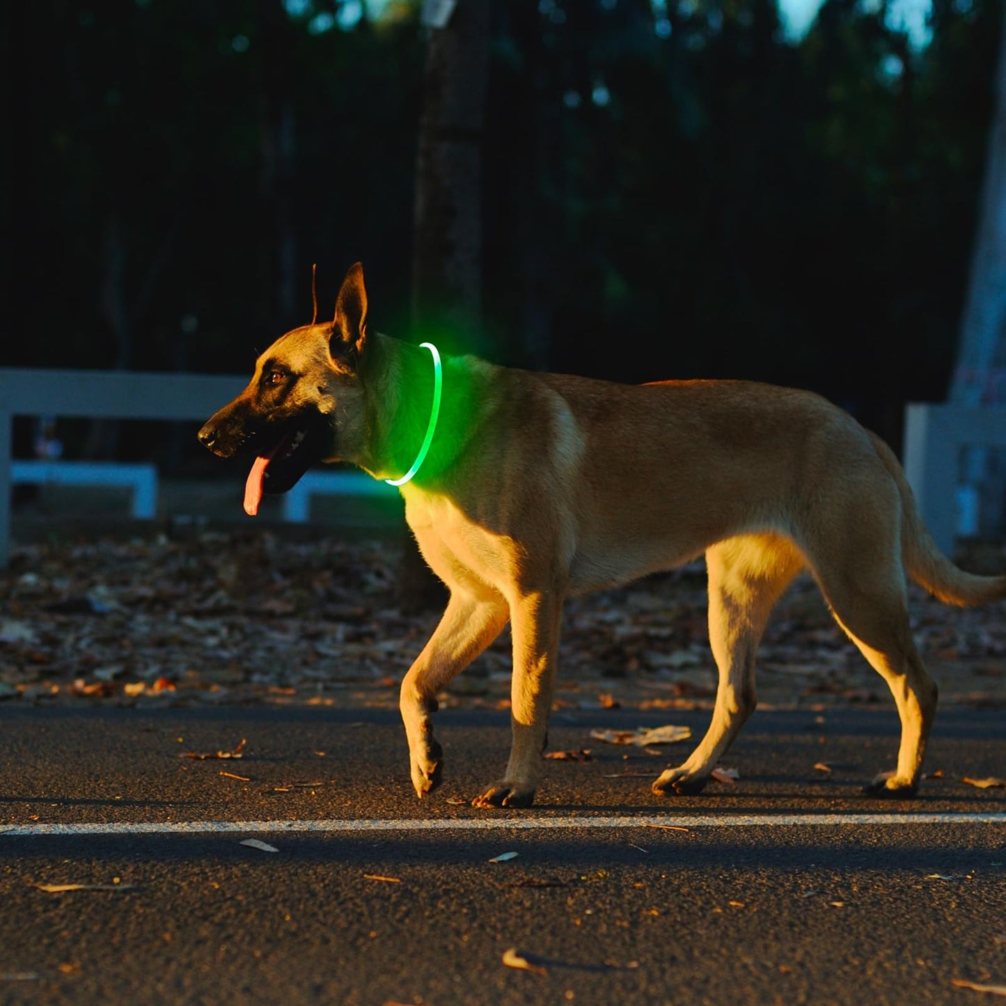 2 Packs Light Up Dog Collar, LED Dog Collar, USB Rechargeable Dog Lights for Night Walking, Adjustable Glow in The Dark Collars for Small Medium Large Dogs, Waterproof Safety Pets Lights Green&Blue