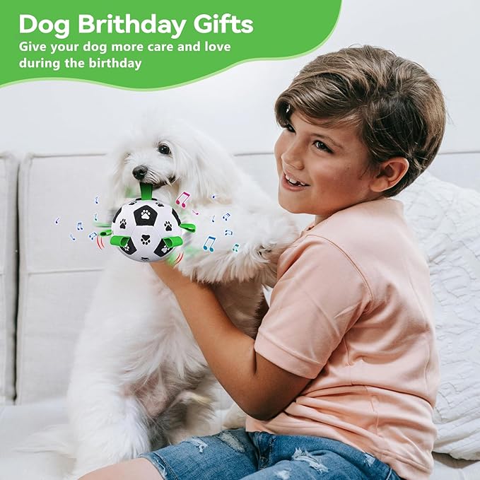 QDAN Interactive Dog Toys Balls: Automatic Rolling Dog Toys to Keep Them Busy, Remote Control, Rechargeable Pet Enrichment Toy for Boredom, Squeaky Puppy Toy for Small Medium