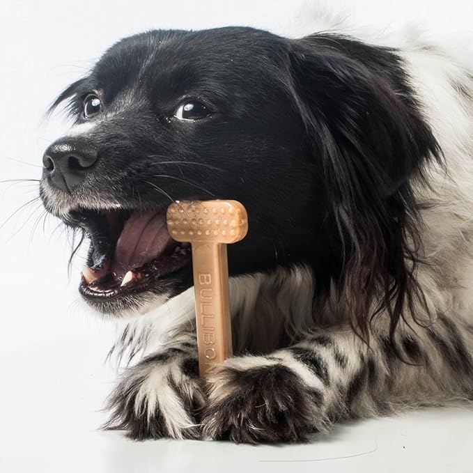 Bullibone Nylon Dog Chew Toy Nylon Bone - Improves Dental Hygiene, Easy to Grip Bottom, and Permeated with Flavor (Peanut Butter, Small - Single)