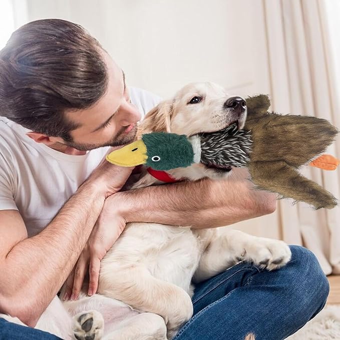 2 PCS Mallard Duck Dog Toys Squeaky D og Toy ,Stuffed Pheasant Do g Chew Toys Plush Mallard Duck Do g To y Interactive Do g Toys to Keep Them Busy , Pheasant Dog To y for Small Middle and Large Dogs