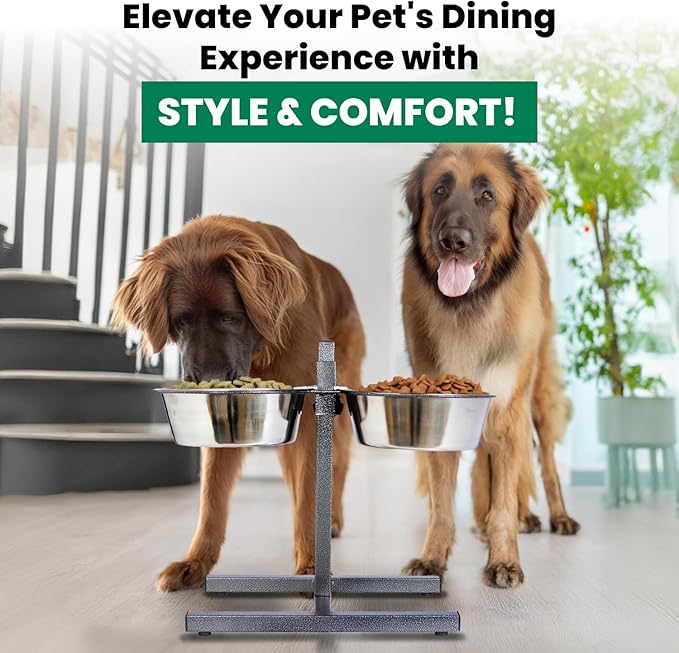 Iconic Pet Adjustable H-Design Double Diner - Non-Skid Rubber Base Noise Free Stable Dog Food Stand with 5 Quart/ 160 oz Stainless Steel Elevated Dog Food Bowls for Proper Growth & Digestion