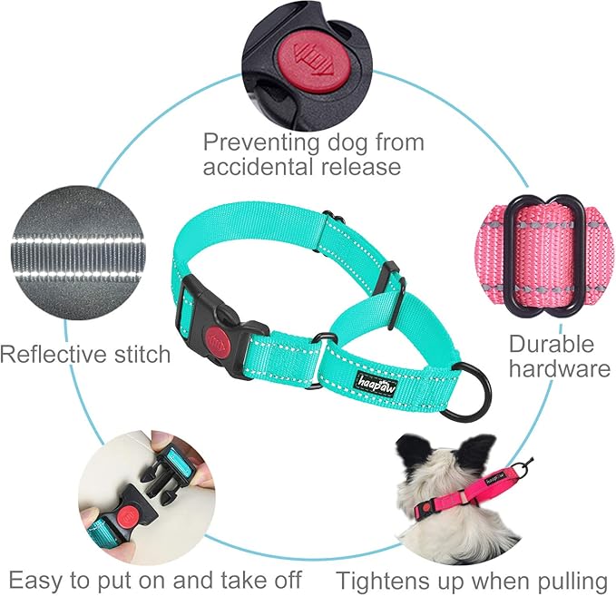 haapaw 2 Packs Martingale Dog Collar with Quick Release Buckle Reflective Dog Training Collars for Small Medium Large Dogs