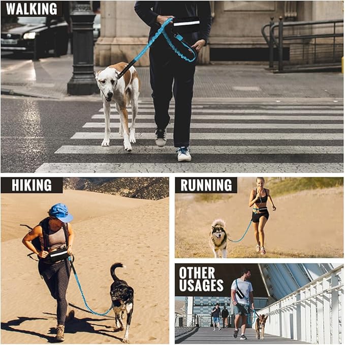 Plutus Pet Hands Free Dog Leash - Soft Padded Dual Handle Retractable Bungee With Reflective Stitches, Adjustable Waist for Walking Running Jogging, Medium Large Dogs