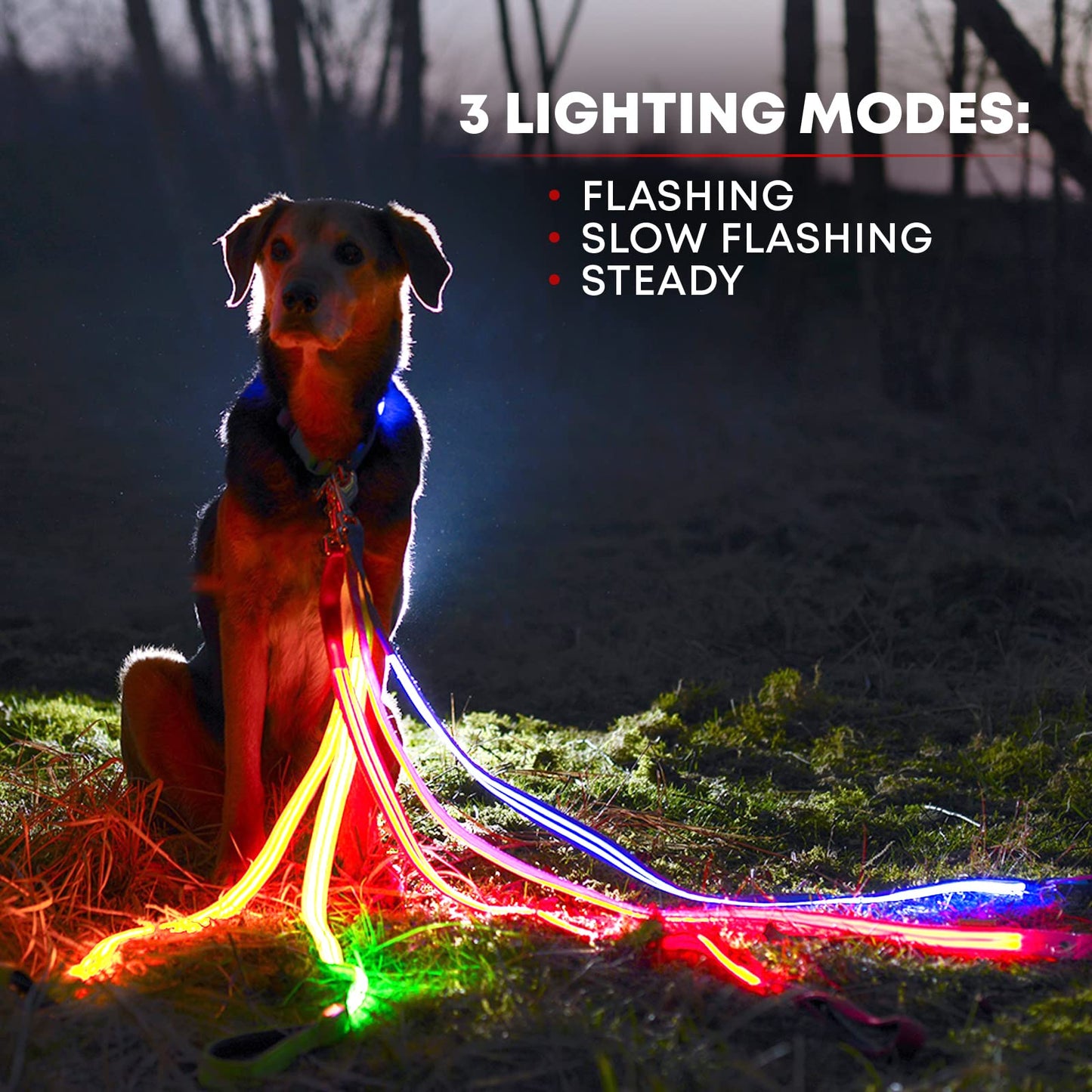 ILLUMISEEN LED Light Up Dog Leash | Ultra High Visibility Up to 350 Yards | 3 Lighting Modes | USB Rechargeable, No Batteries Needed | Padded Handle & Rotating Swivel Clasp to Prevent Leash Tangling