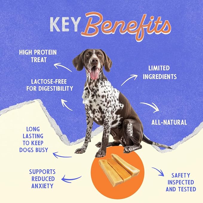 Himalayan Chew Premium Yak Cheese Himalayan Chews, Bacon, 1 Large Treat, 3.3 oz, Treats Large Breed, All Natural, Long Lasting Chews for Aggressive Chewers, s Under 55 lbs