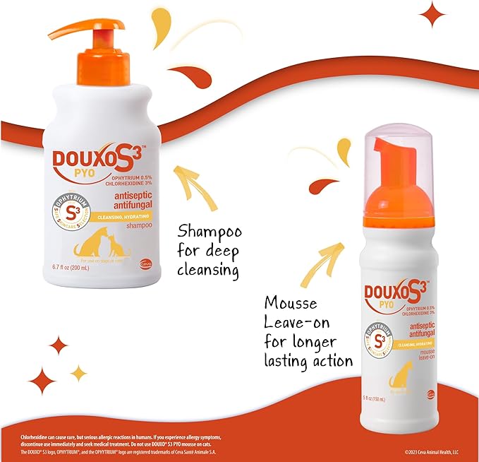DOUXO® S3 PYO Combo Set | DOUXO S3 PYO Shampoo (6.7 oz) & DOUXO® S3 PYO Mousse (5.1 oz)