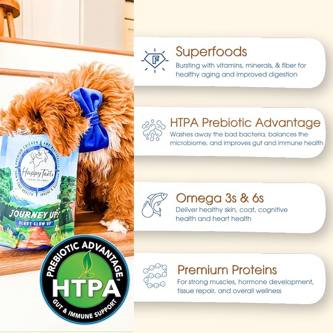 HappyTails Journey Up, Pumpkin Power Up Jerky Treats for Dogs with Beef, Pumpkin & Carrots-Made in USA-Prebiotics for Gut & Immune Health, Omega 3 & 6 for Skin & Coat, Small-Large Dogs, 6 oz.