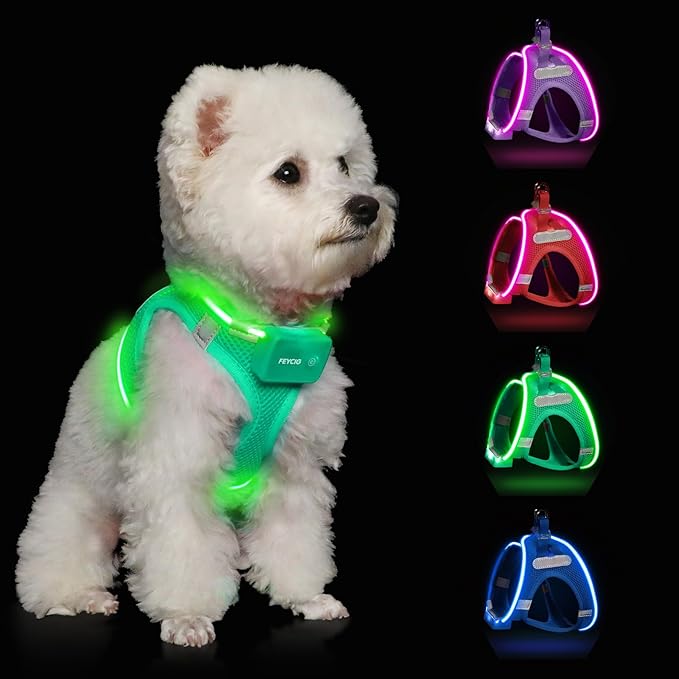 Light Up Dog Harness,Rechargeable LED Dog Harness for Small Medium Large Dogs,Reflective Lighted Safety Vest for Night Walking & Camping,Lightweight & Adjustable,Light Green,XS